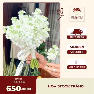 Bó Hoa Cưới Cầm Tay Hoa Stock Trắng