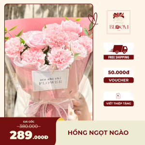 Hồng Ngọt Ngào – Bó hoa cẩm chướng & hồng pastel tặng sinh nhật