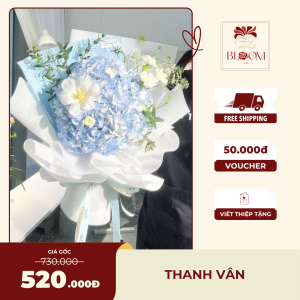 Thanh Vân – Hoa Cẩm Tú Xanh Dịu Mắt