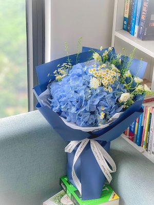 Hoa cẩm tú cầu – Sự tượng trưng của sự hạnh phúc