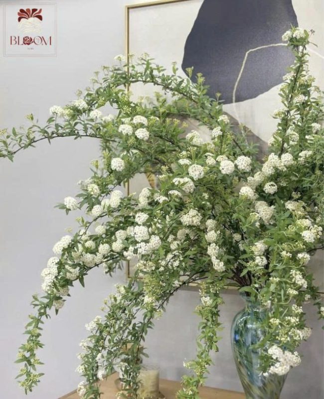 Hoa để bàn ăn gia đình-xanh trắng