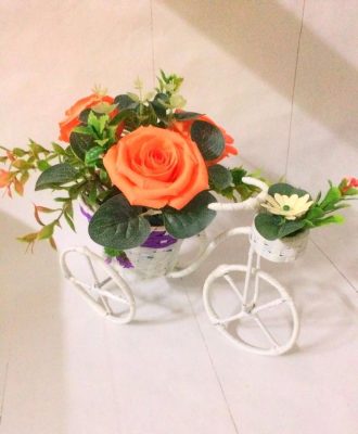 bó hoa chúc mừng