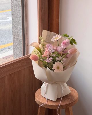 Hoa cẩm chướng