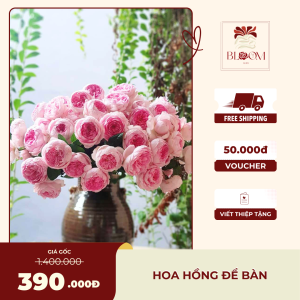 Hoa Hồng Để Bàn Sang Trọng