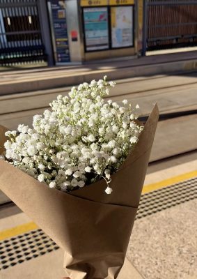 Hoa Baby’s Breath